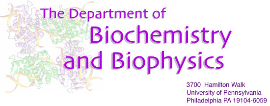 Department of Biochemistry & Biophysics